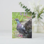 アーバンハト ポストカード (スタンド正面)