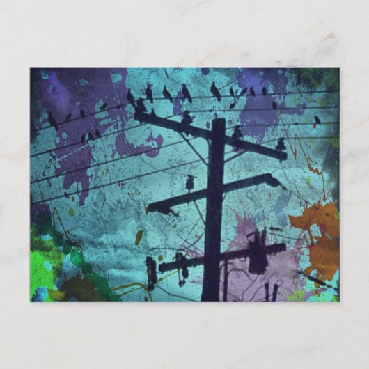 アーバンバードライフ ポストカード (正面)