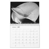 アーバンフラワーズ2020カレンダー カレンダー (1月 2027)