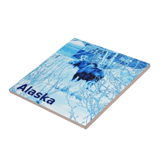 アーバンムース タイル (側面)