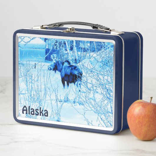 アーバンムース メタルランチボックス (インサイチュ)