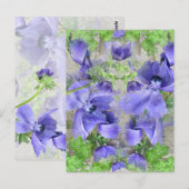 アーバンモダンガーデン ポストカード (正面/裏面)