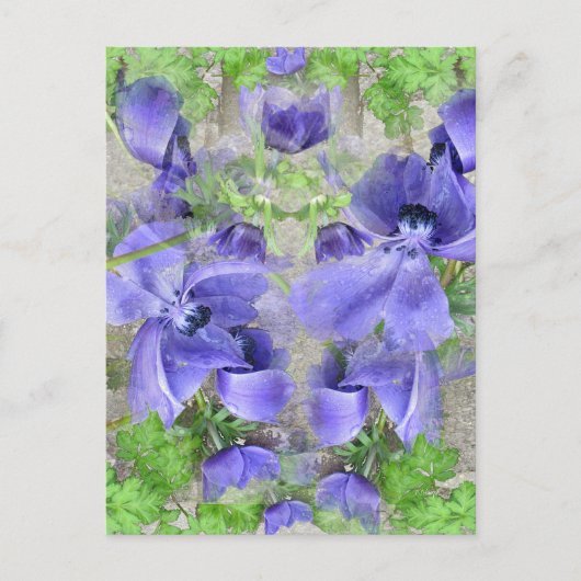 アーバンモダンガーデン ポストカード (正面)