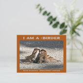 アーバン通りファイターズハウススパーローズバーダー ポストカード (スタンド正面)