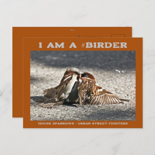 アーバン通りファイターズハウススパーローズバーダー ポストカード (正面/裏面)