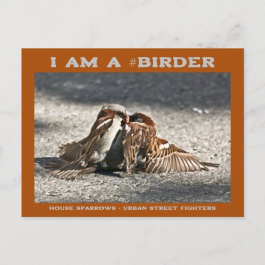 アーバン通りファイターズハウススパーローズバーダー ポストカード (正面)