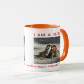 アーバン通りファイターズハウススパーローズバーダー マグカップ (正面右)