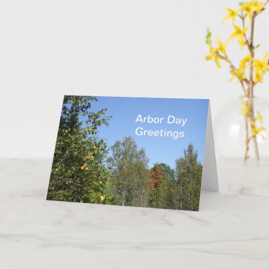 アーバーの日木 カード (黄色い花)