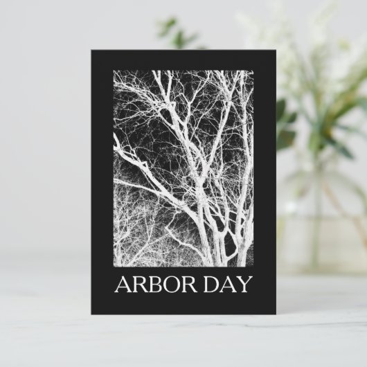 アーバーデイ幽霊木 招待状 (スタンド正面)