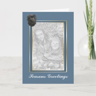 アーフェンピンシャーは挨拶のフォトカードに味をつけます シーズンカード