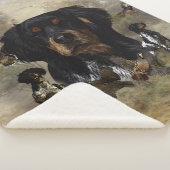 アーフランスのト・ブリタニー シェルパブランケット (3/4)