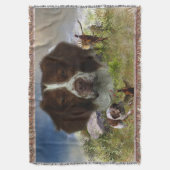 アーフランスのト・ブリタニー スローブランケット (正面縦)