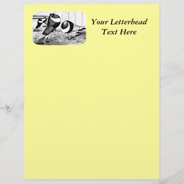 アーヘン・バンド・クローパー・ピジョン (正面)