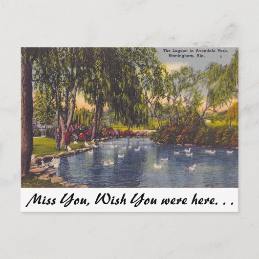 アーボンデールパーク、バーミンガム、AL ポストカード (正面)