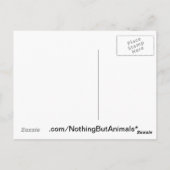 アーポップ・アートのト走・ダシュントの耳のフラッピング ポストカード (裏面)