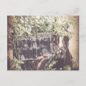 アーミッシュを待つ馬 ポストカード (正面)