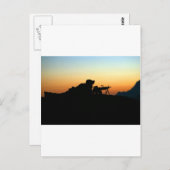 アーミースナイパー ポストカード (正面/裏面)