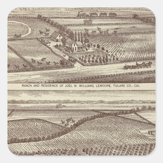 アーモナ・ランチス・レムーア スクエアシール (正面)