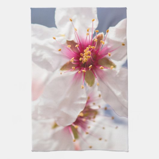 アーモンドの木の花 キッチンタオル (縦)