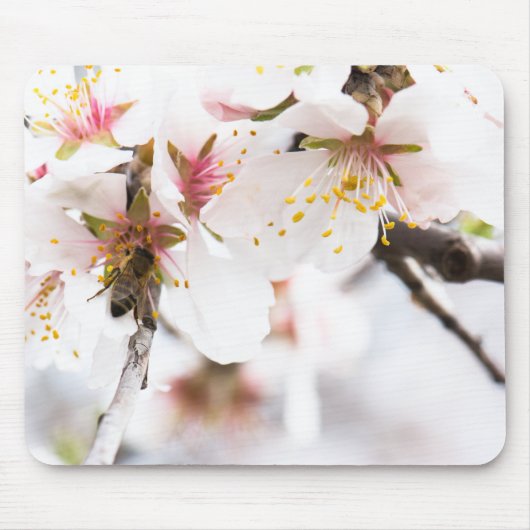アーモンドの木の花 マウスパッド (正面)