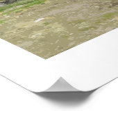 アーモンドの花の中のメーガンのトラック ポスター (角)