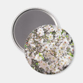 アーモンドの花の磁石 マグネット (正面/裏面)