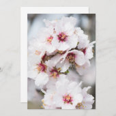 アーモンドの花 招待状 (正面/裏面)