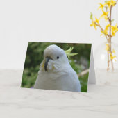 アーモンドのmuncherのリターン! カード (黄色い花)