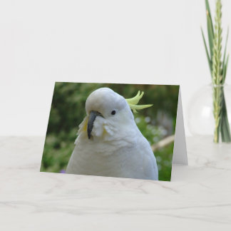 アーモンドのmuncherのリターン! カード