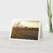 アーモンドツリーオーチャードイン春 カード (正面)