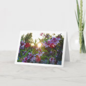 アーモンドツリーブロッサムサンセット カード (正面)