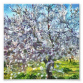 アーモンドツリーブロッサム点々のあるアートスタイル絵画ズ フォトプリント            (正面)