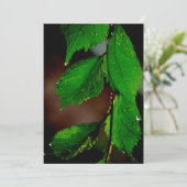 アーモンドツリー離れ招待状 招待状 (スタンド正面)