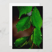 アーモンドツリー離れ招待状 招待状 (正面/裏面)