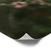 アーモンドブロッサム春フラワーポスター ポスター (角)