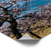 アーモンドブロッサム3 ポスター (角)