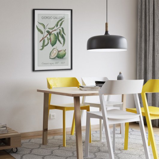 アーモンドヴィンテージ植物学イラストレーションポスター ポスター