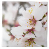 アーモンド咲き タイル (正面)