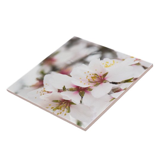 アーモンド咲き タイル (側面)