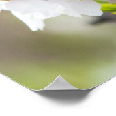 アーモンド咲き ポスター (角)