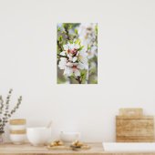 アーモンド咲き ポスター (キッチン)