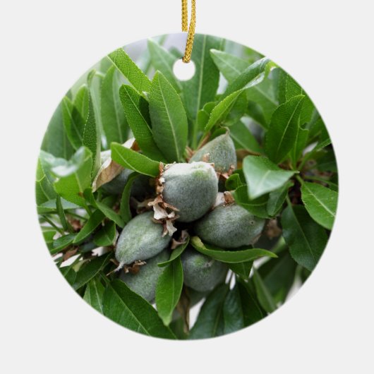 アーモンド木の緑のフルーツ セラミックオーナメント (正面)