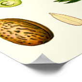 アーモンド花ドイツ植物学 ポスター (角)