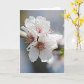 アーモンド開花 カード (黄色い花)