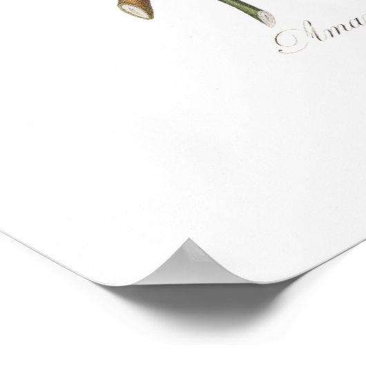 アーモンド、アマンディエアおじいちゃんフルーア ポスター (角)