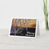 アーモンド·ツリーアット·ナイト カード (正面)