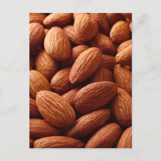 アーモンド ポストカード (正面)