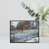 アーリントンの雪 ポストカード (スタンド正面)