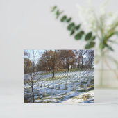 アーリントン ポストカード (スタンド正面)