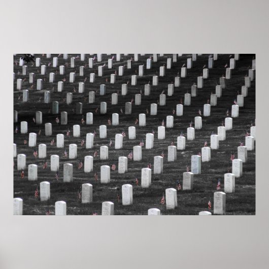 アーリントンB&Wカラーフラグ ポスター (正面)